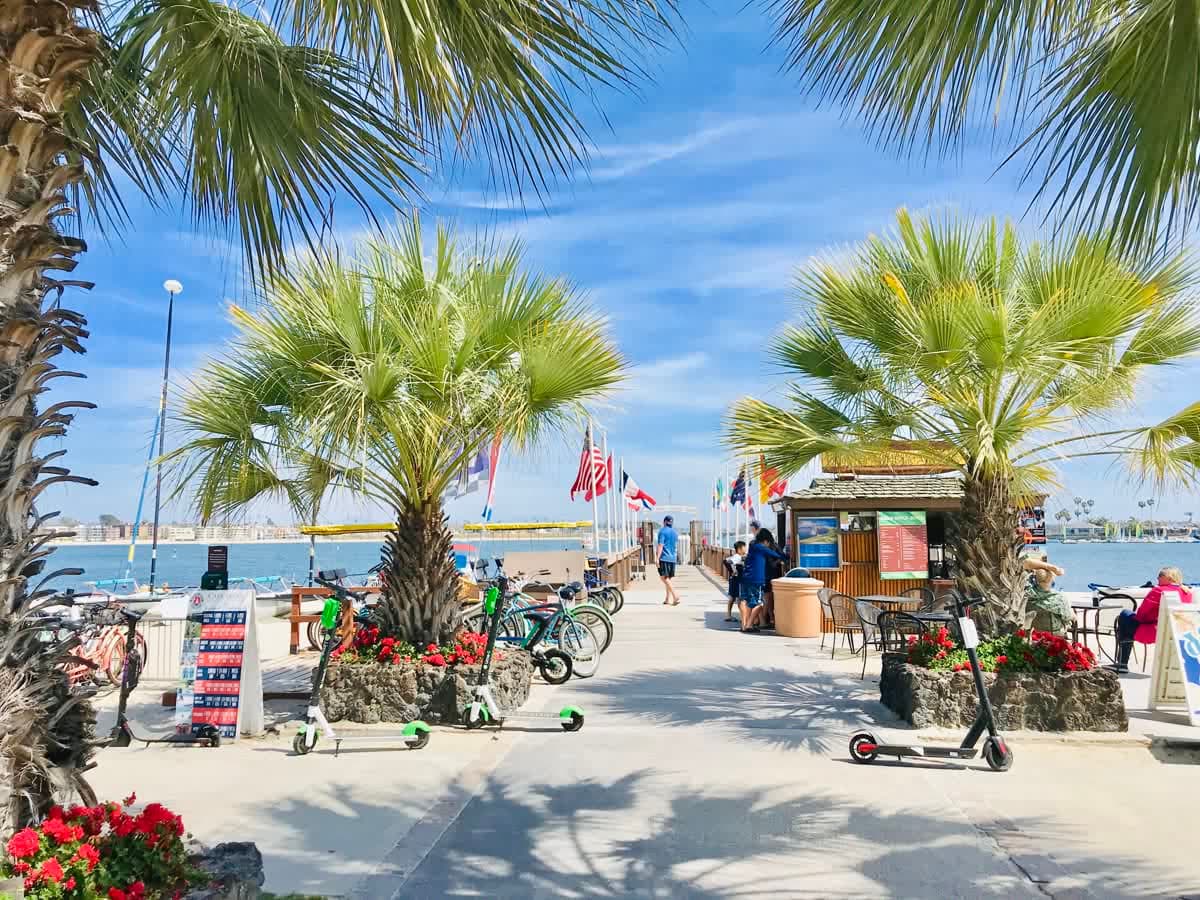 Palm trees along a seaside walkway with flags and bicycles