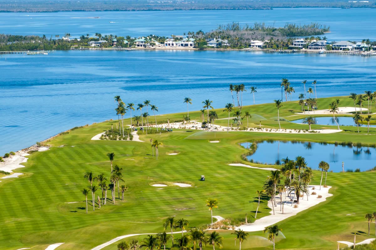 An oceanfront golf course with palm trees beside blue water